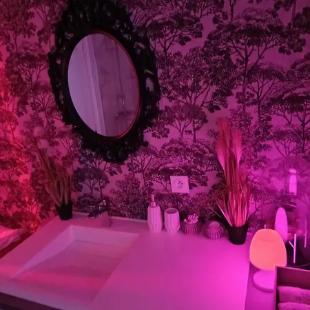 Blom Romantique, Prive & Salle De Massage, Petit Dej Inclus Guesnain